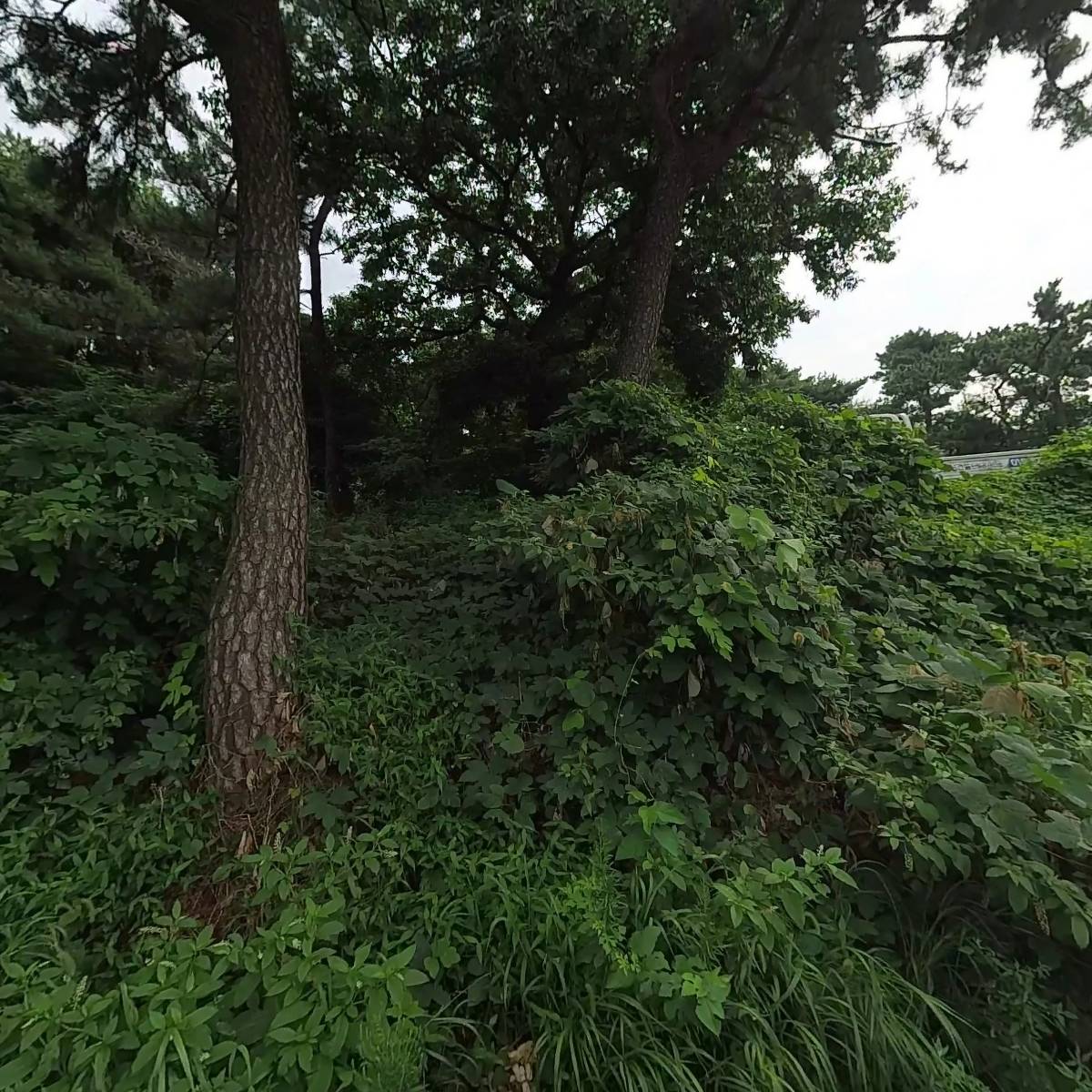 대한불교화엄종 용문사