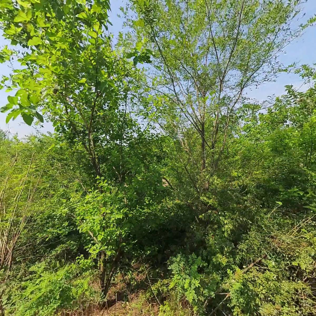 (유한)다웅석재_3