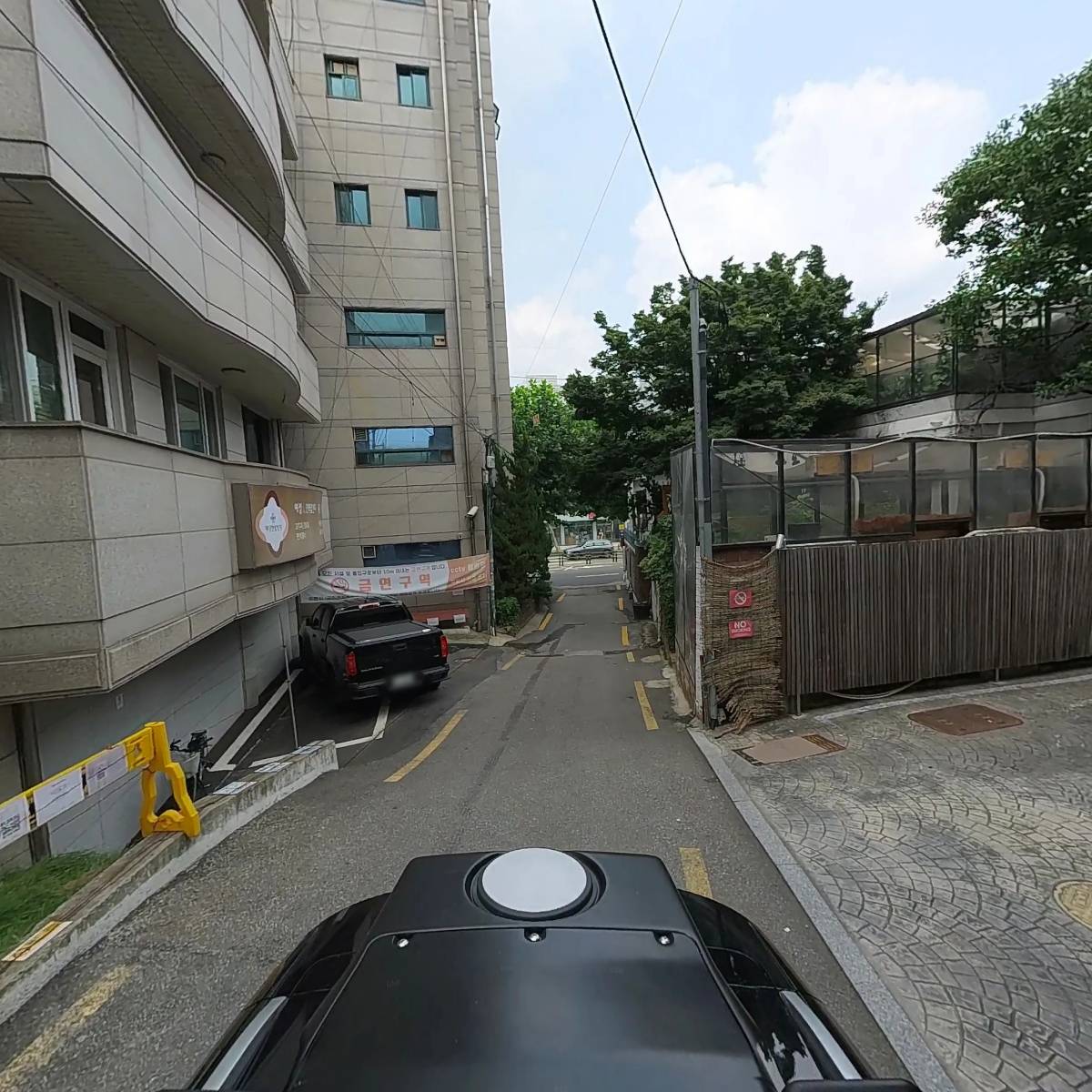 그레이프프루트(Grapefruit)_2