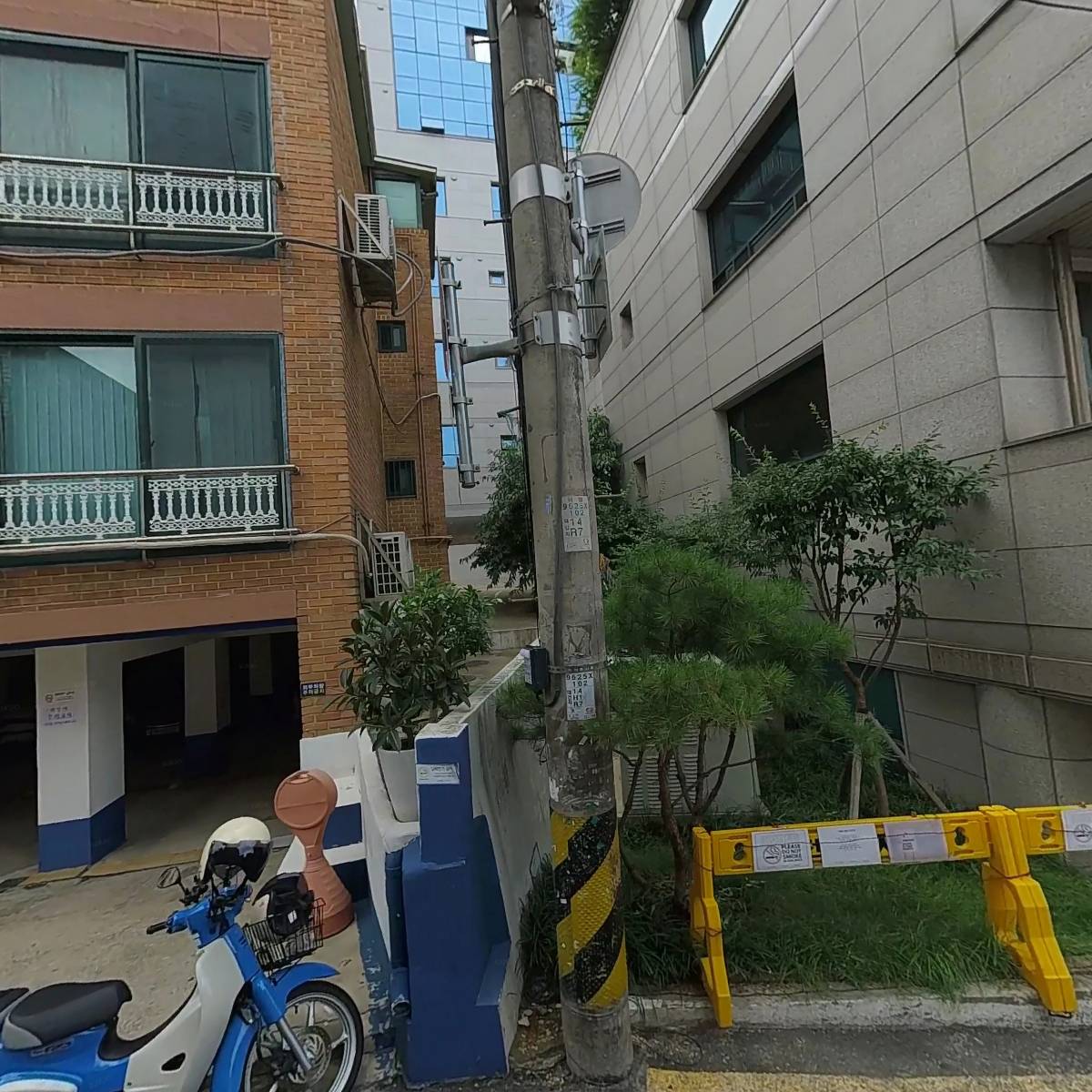 그레이프프루트(Grapefruit)