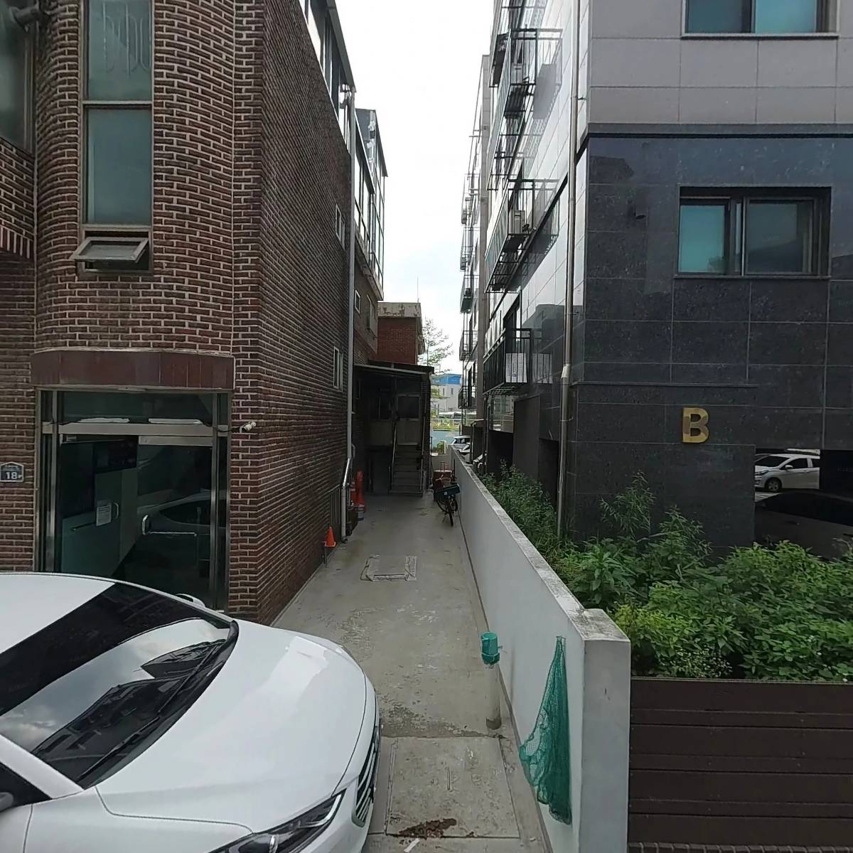 지앤티벽지