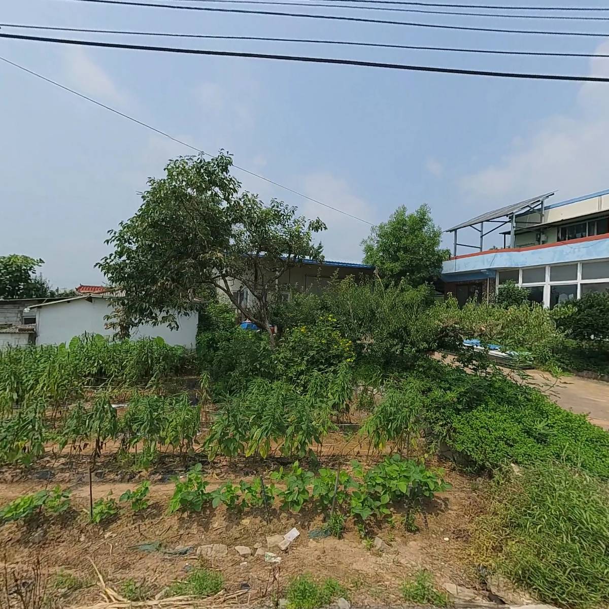 대중할인마트