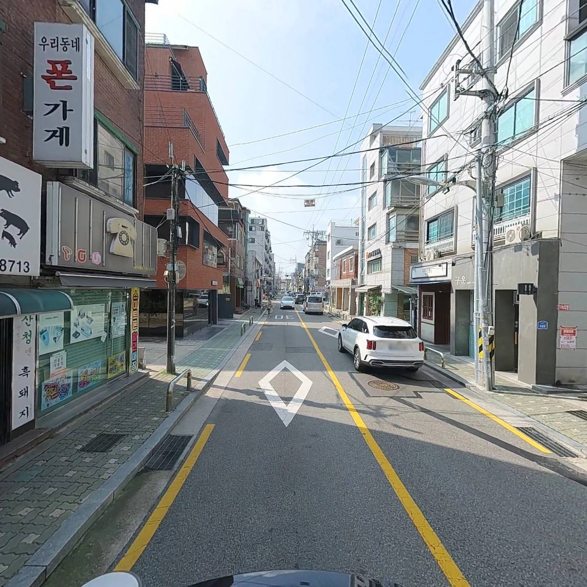산청엔흙돼지_2