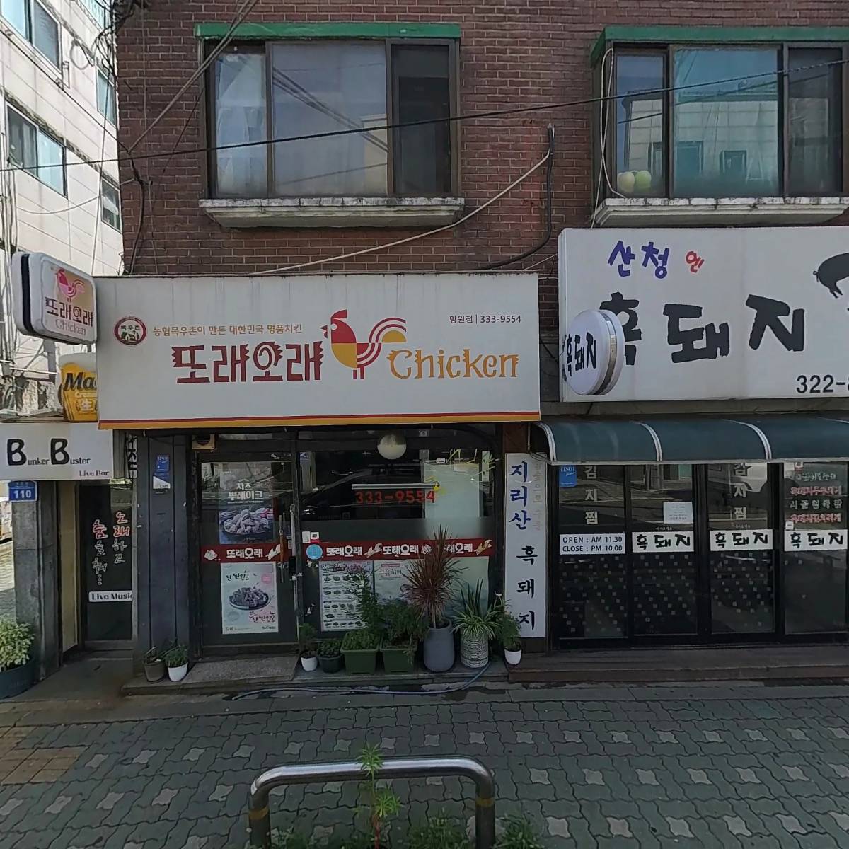 산청엔흙돼지