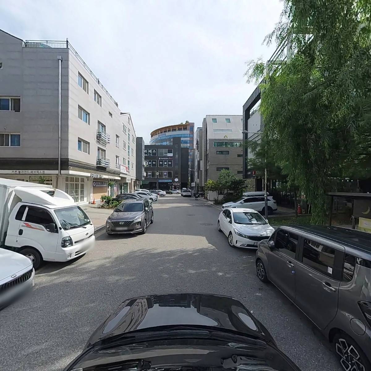 필히_4
