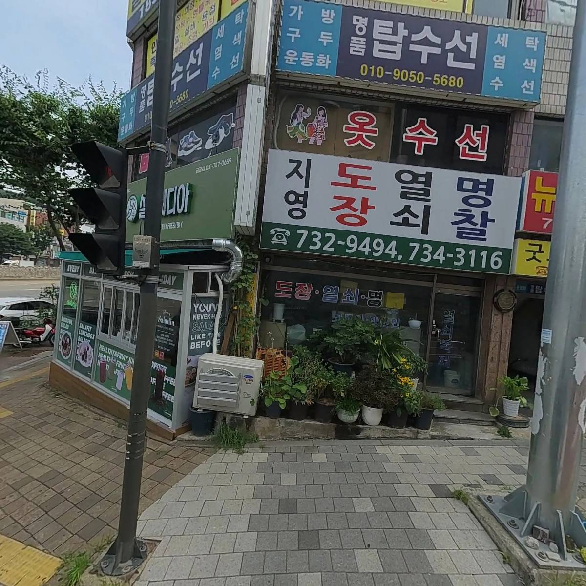 샐러디아