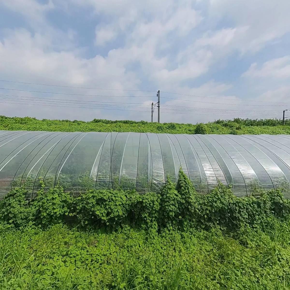 （주）대정엠테크_3
