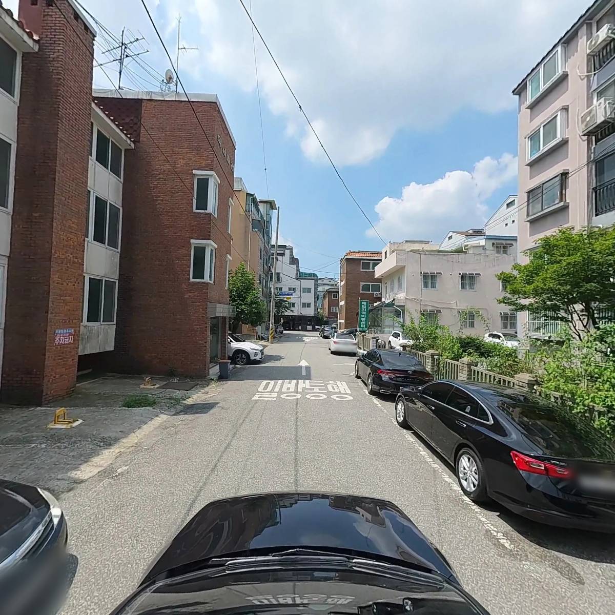 새물 동태탕_4