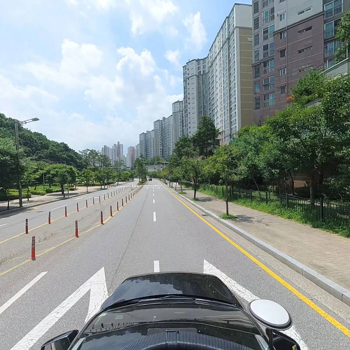 골든트리_4