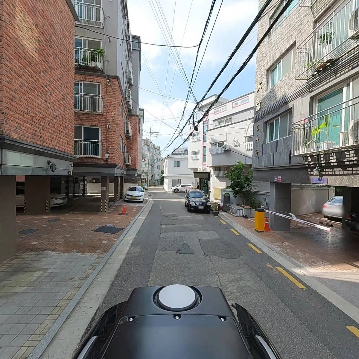 리코_2