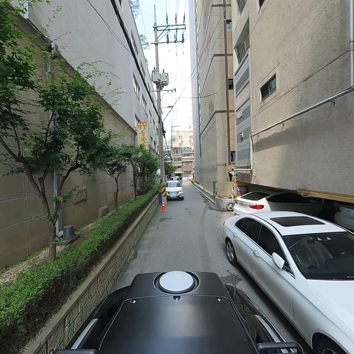 이어도참치_2