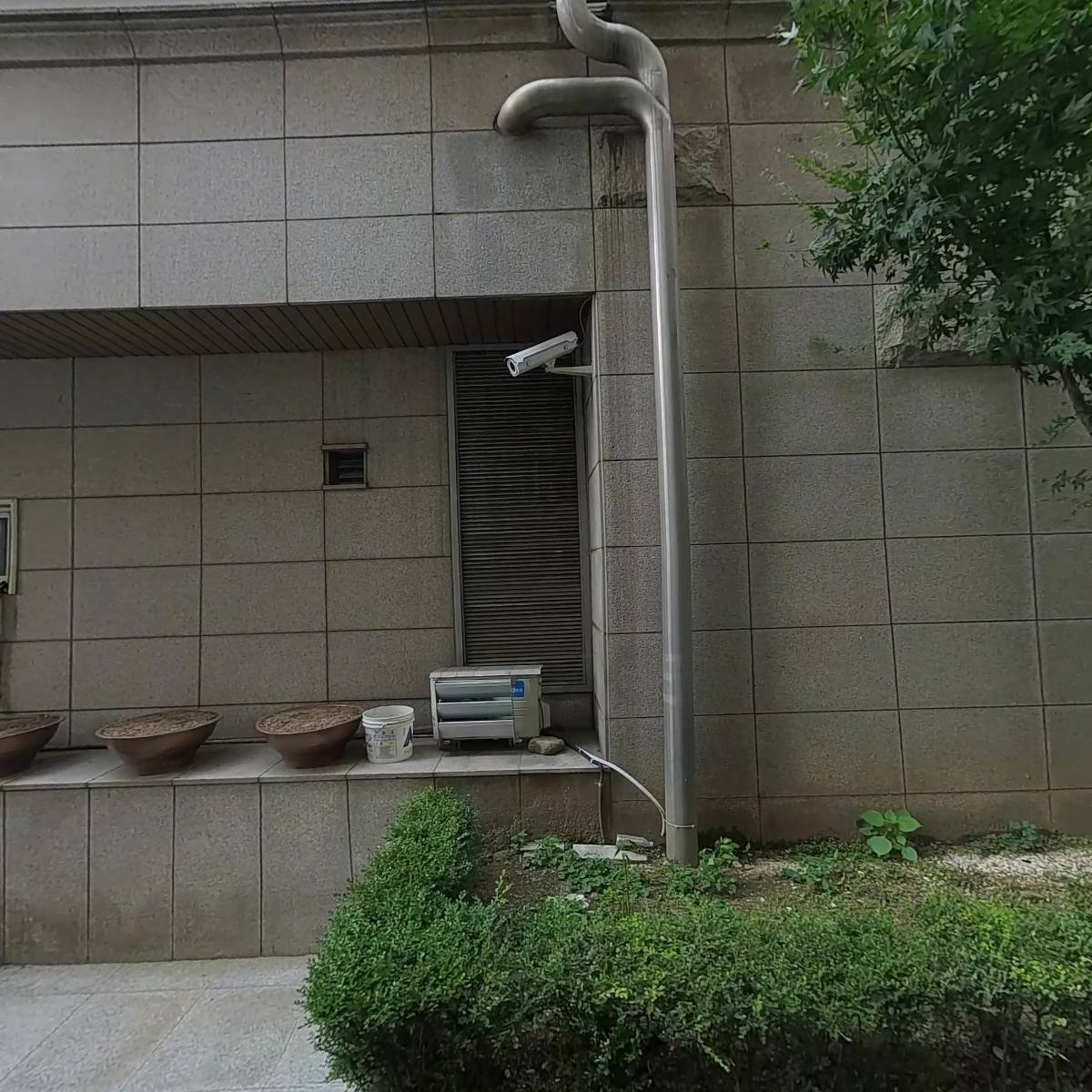 이어도참치