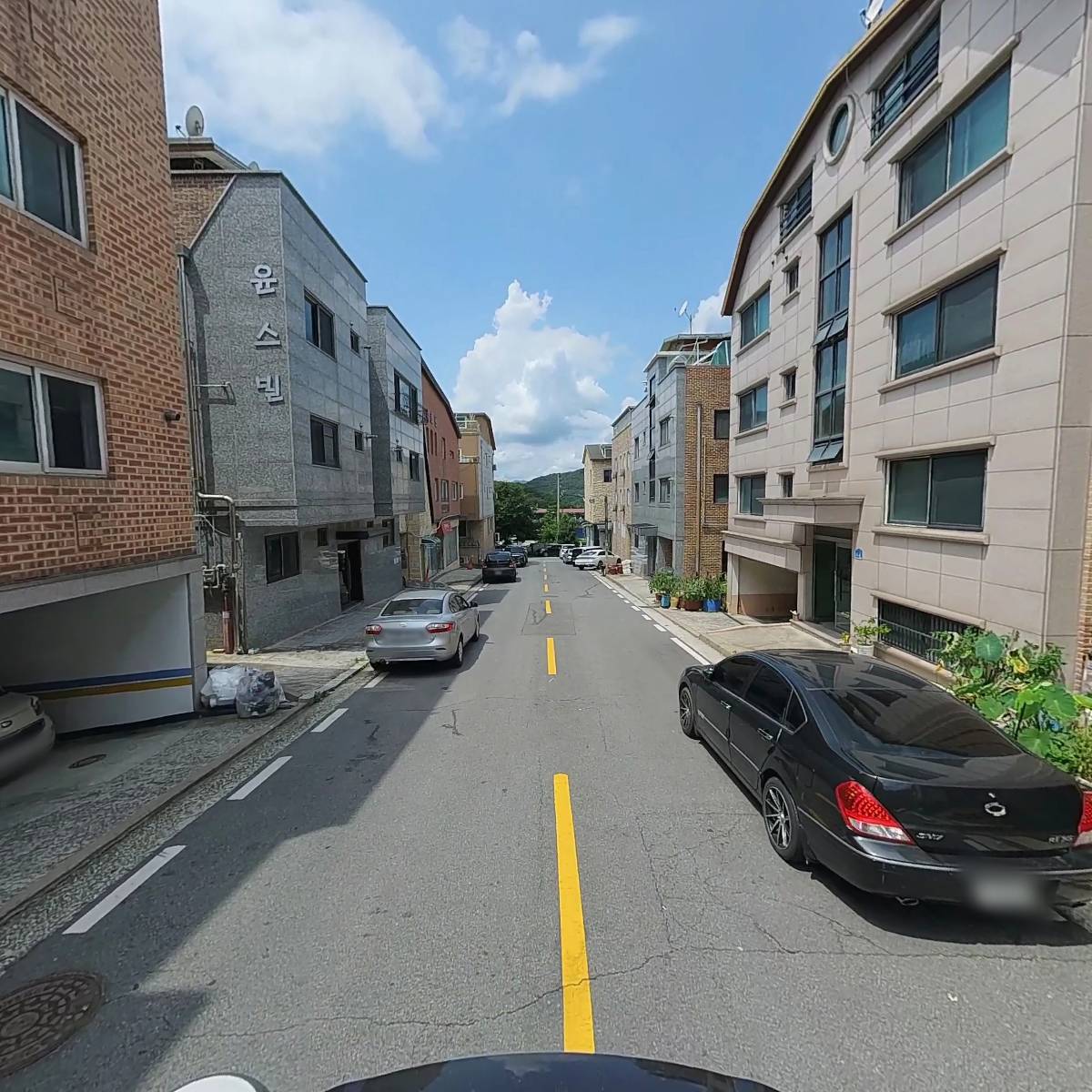 위츠_2