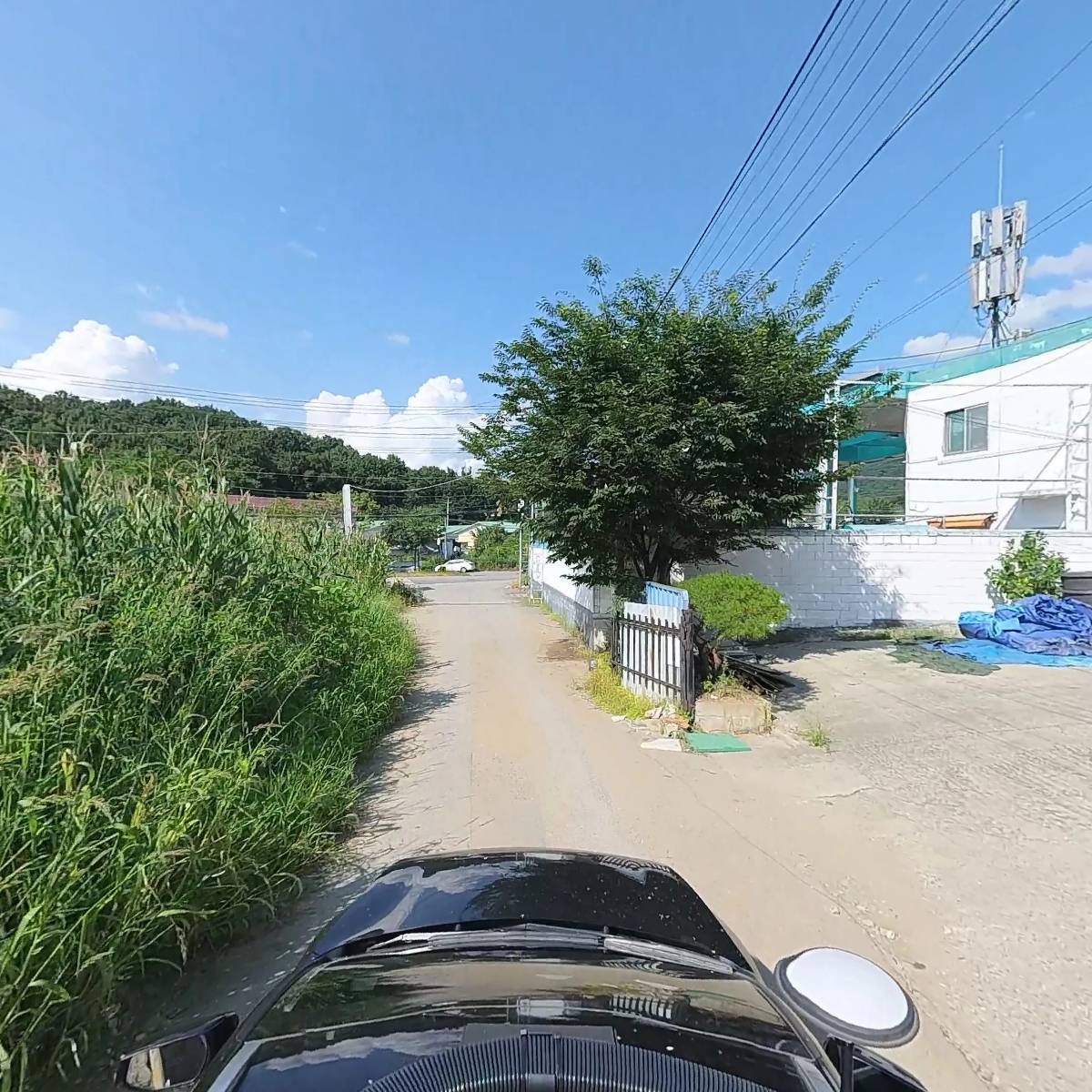 프리라이트_4