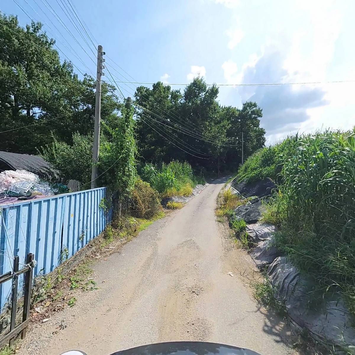 프리라이트_2