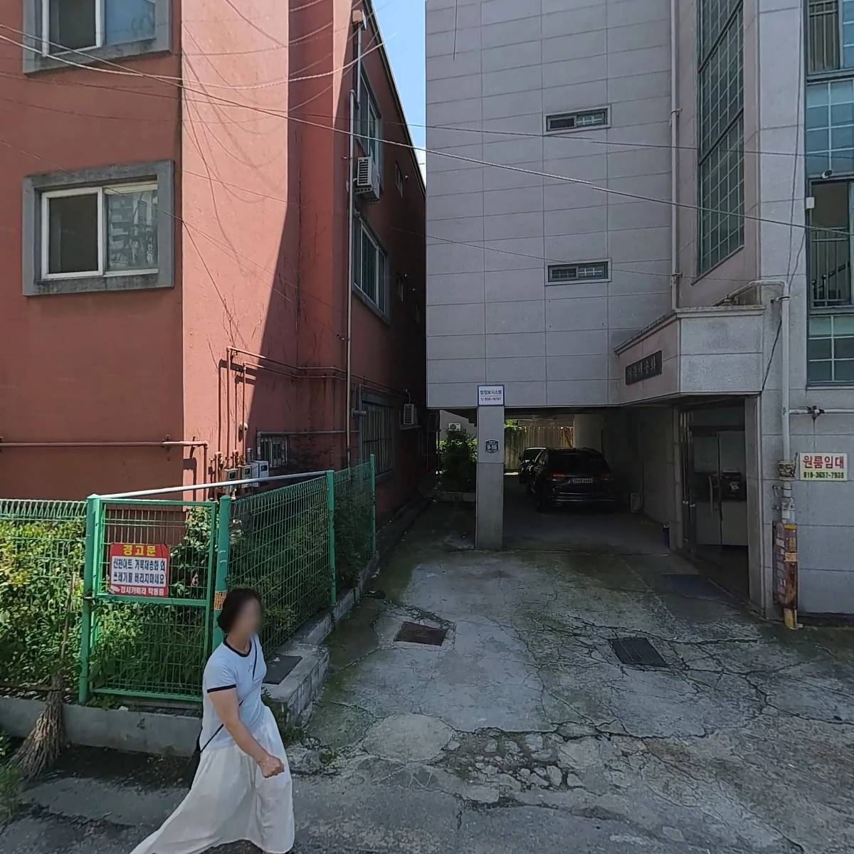 네모사피엔스