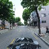 유화_4