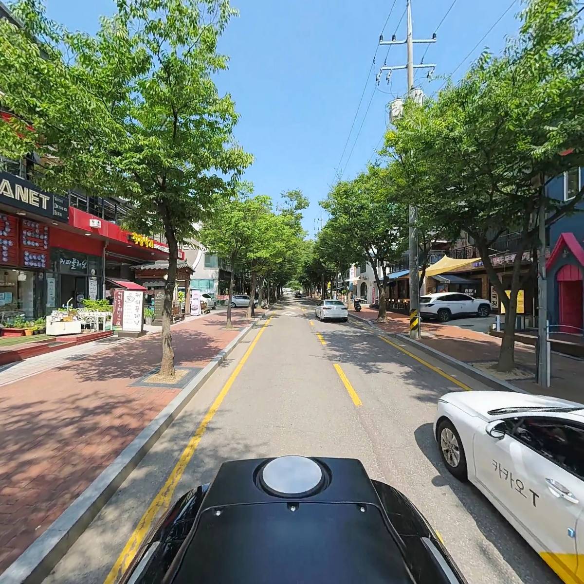 위드독_2