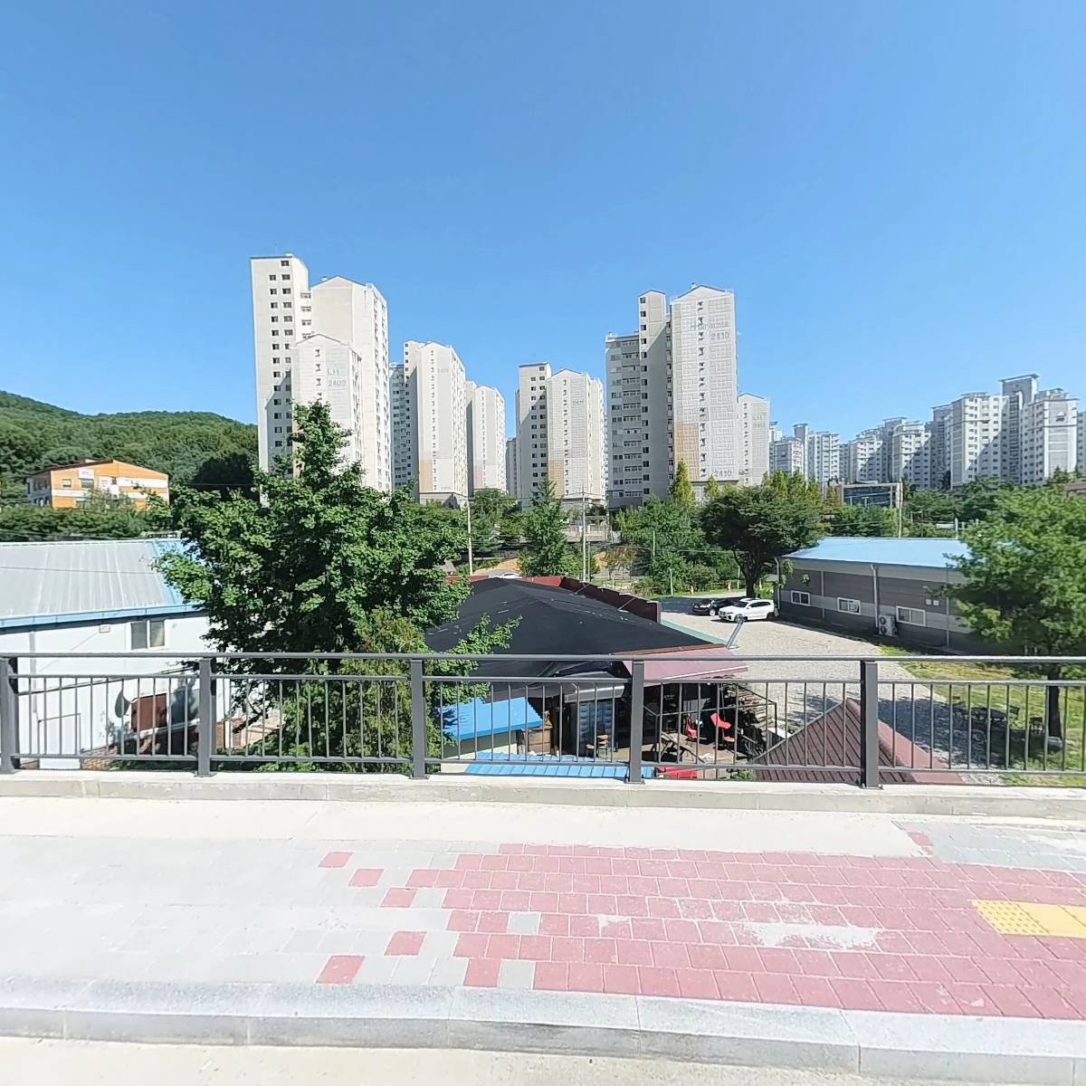 돈꽃