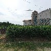 더푸름_3