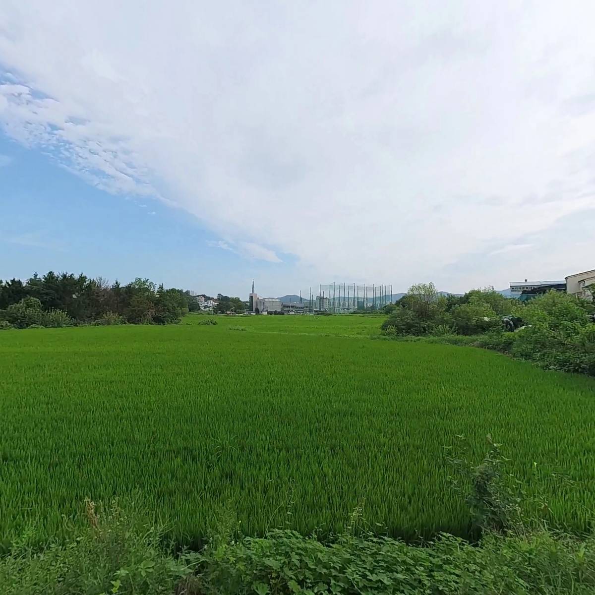프로피싱
