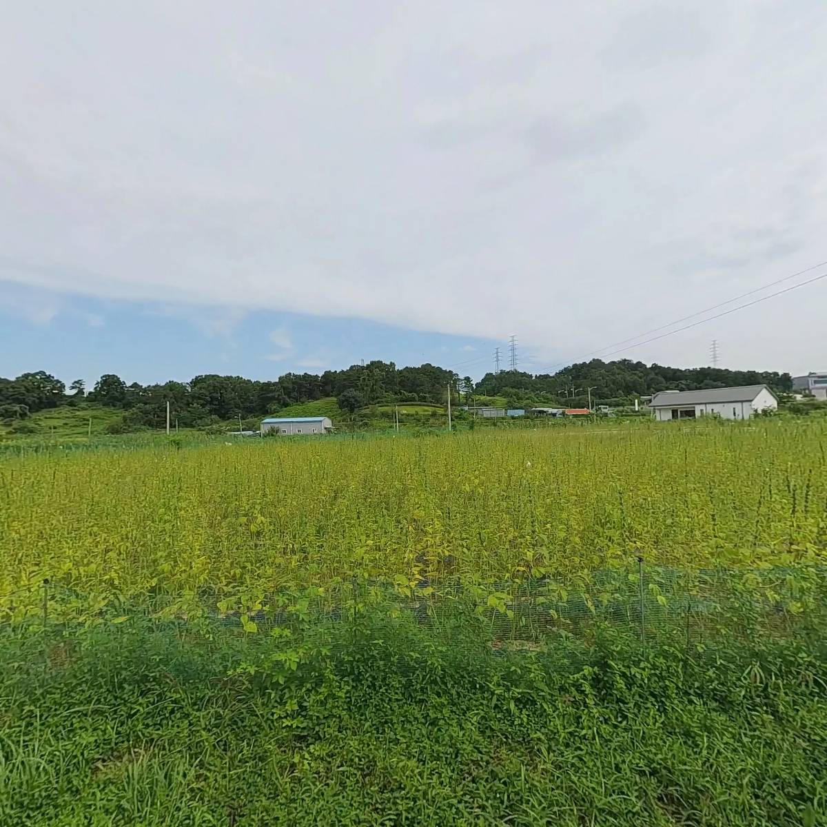 서부ENG