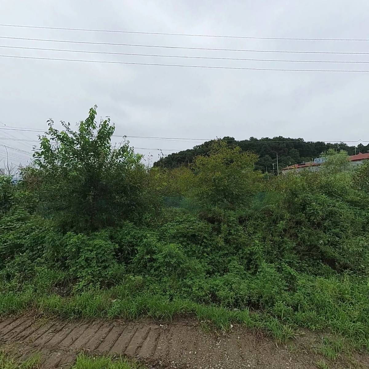 (주)세종중기기초