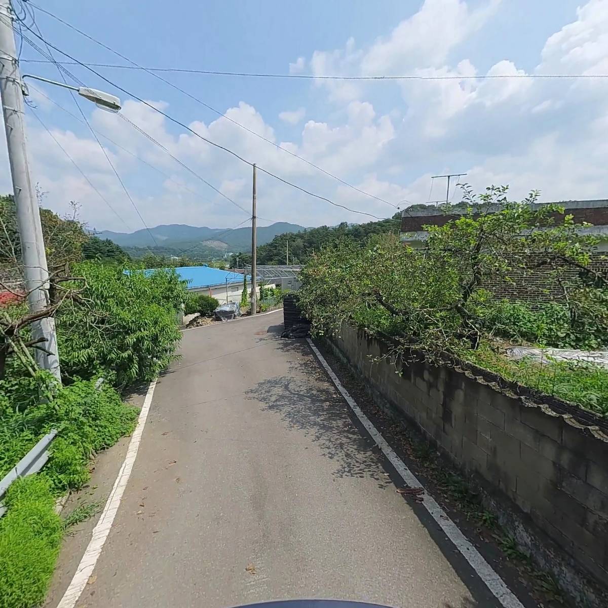 몬스터럭키_2