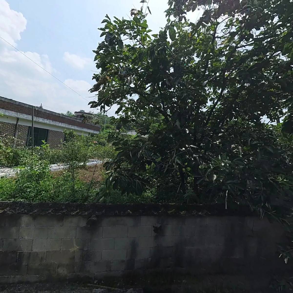 몬스터럭키_3