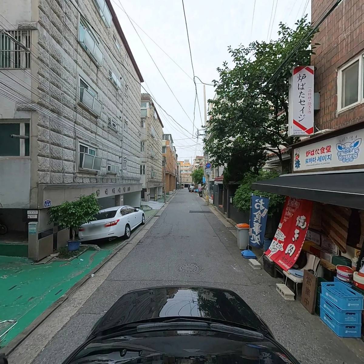 세이지_4