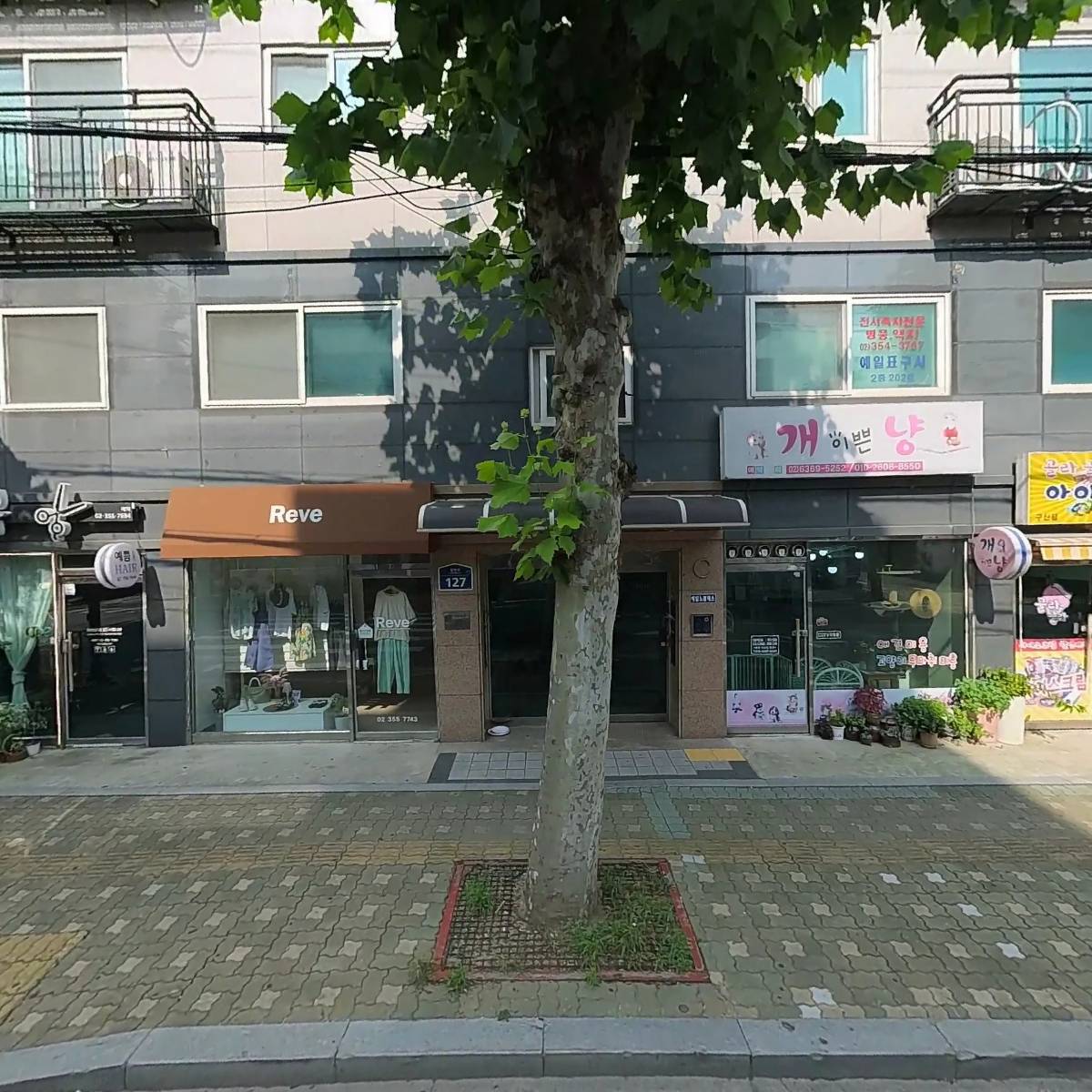 피티타임