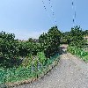 쌍림교역