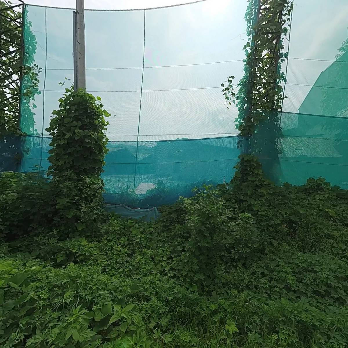 성호개발_3