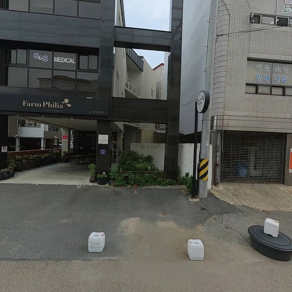 팜필리아_3