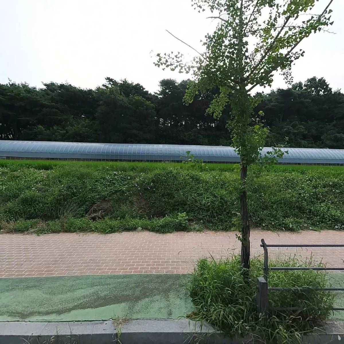 디저트39한국교원대점