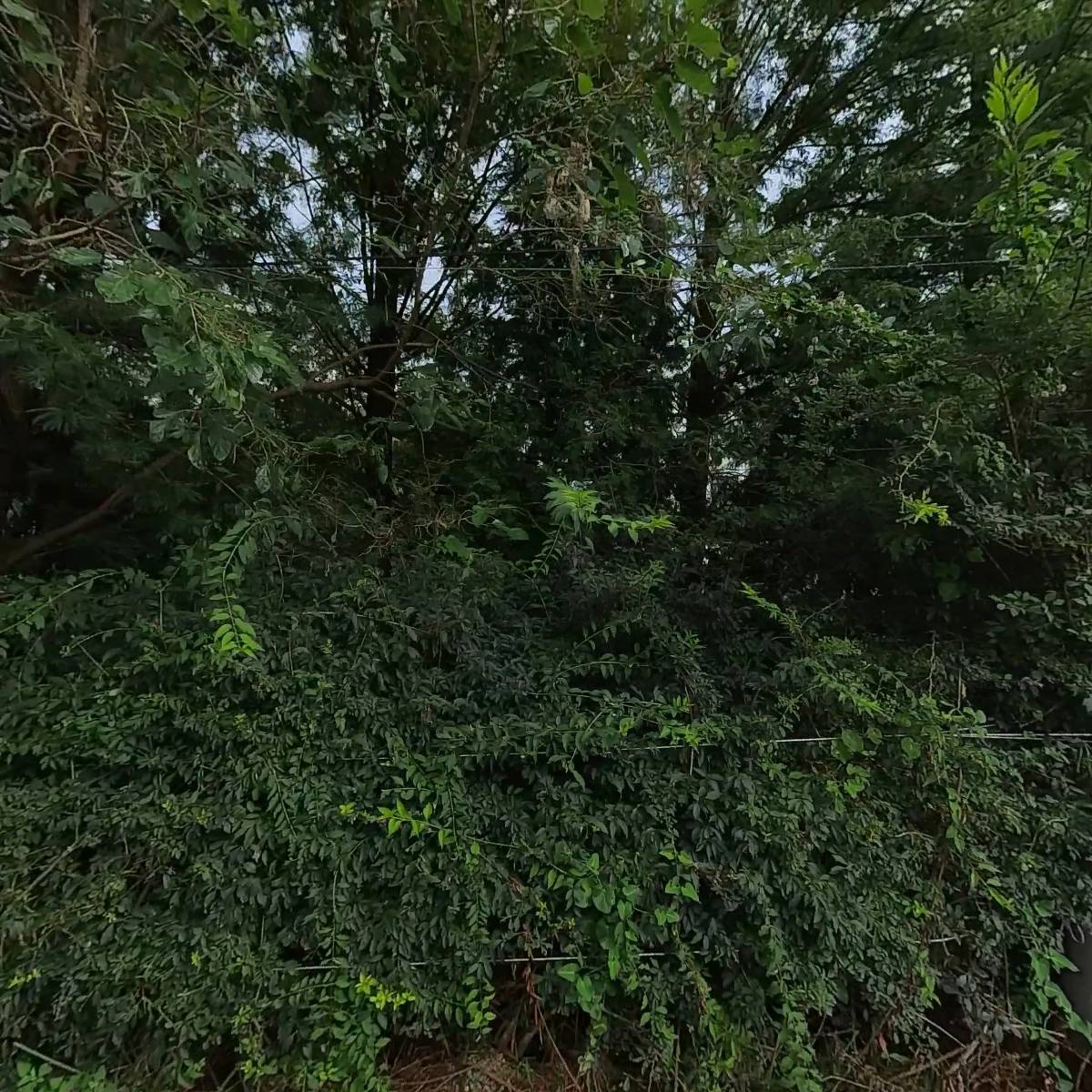 제이제이건설주식회사