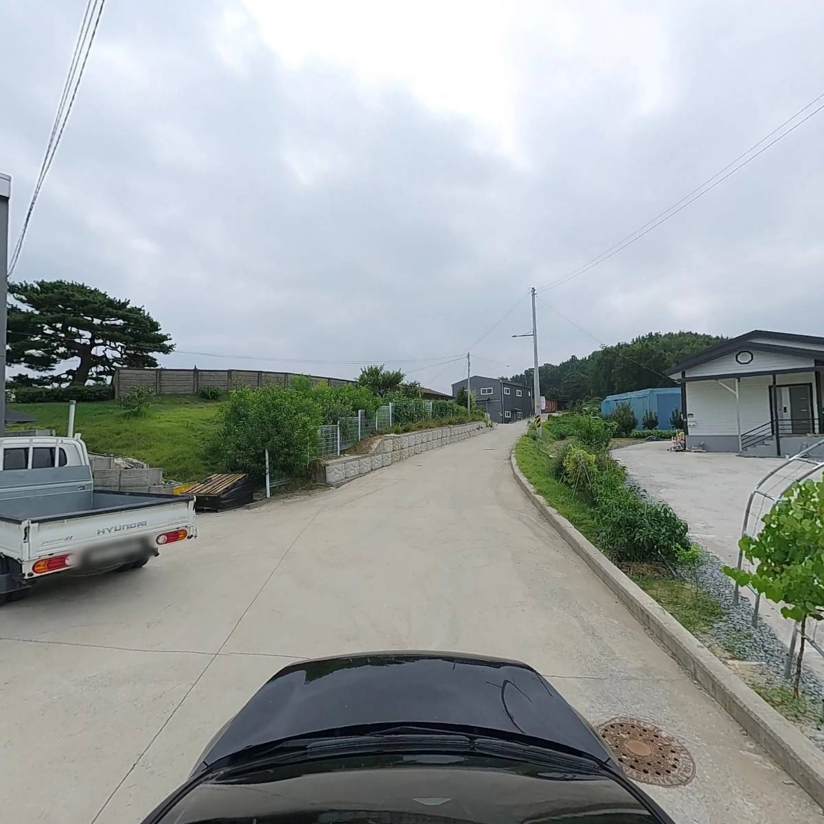 원 동물병원_4