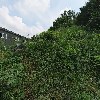 주식회사 백건
