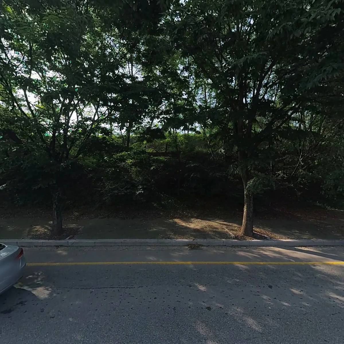 친환경녹화조경