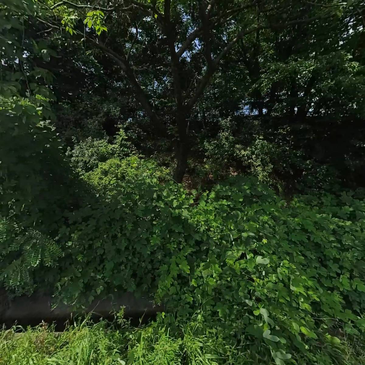 정우정밀