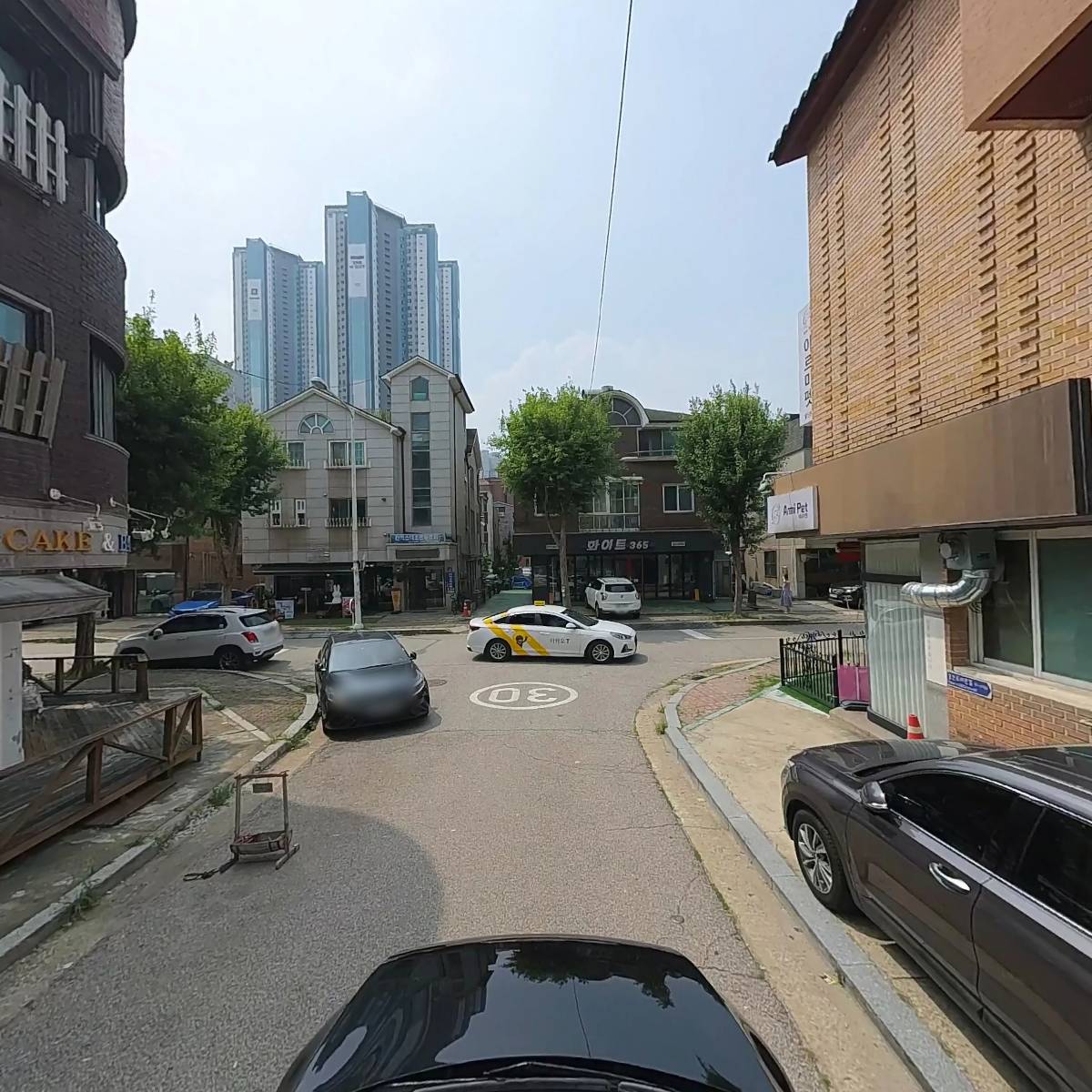 퍼피룬 강아지분양고양이분양 일산본점_4