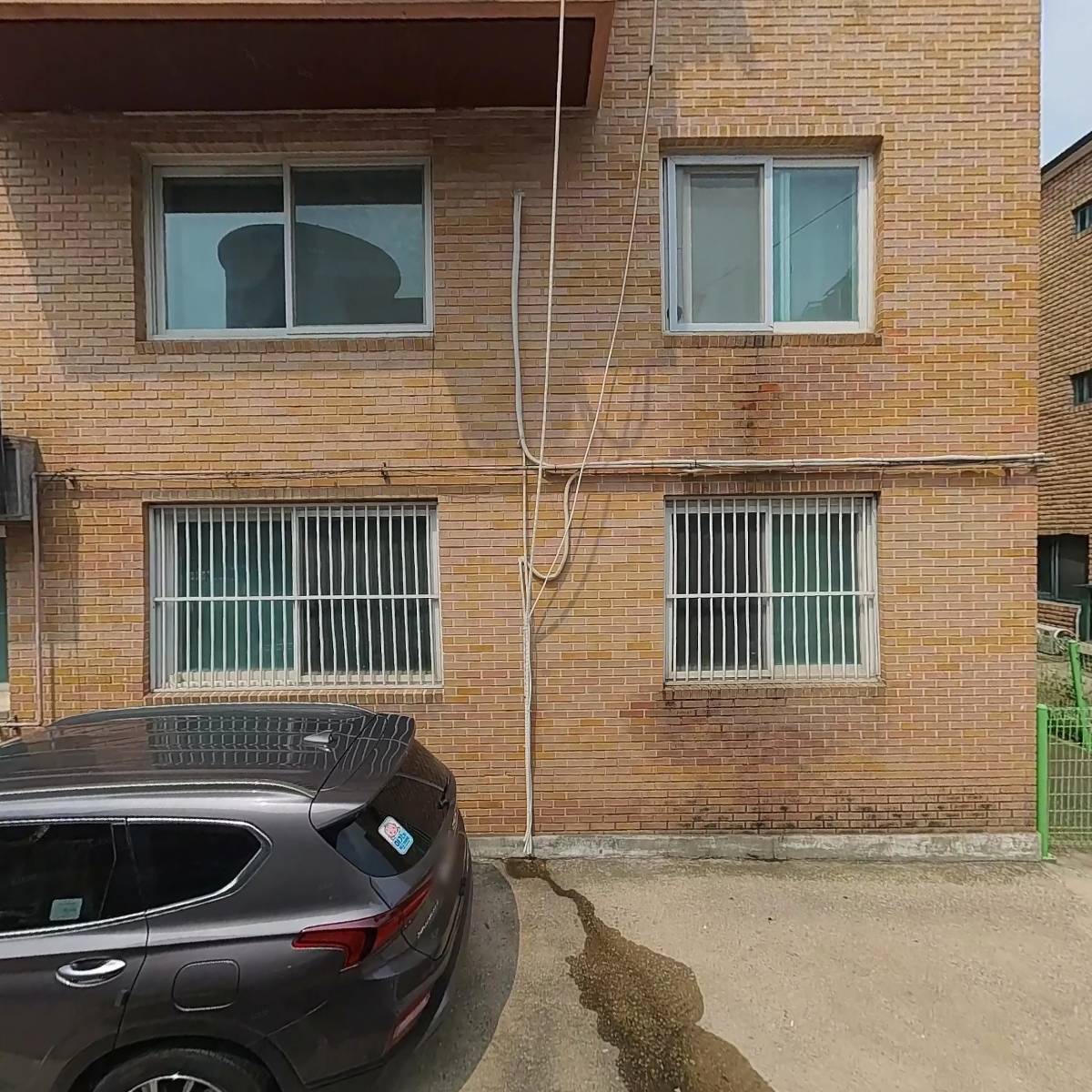 퍼피룬 강아지분양고양이분양 일산본점