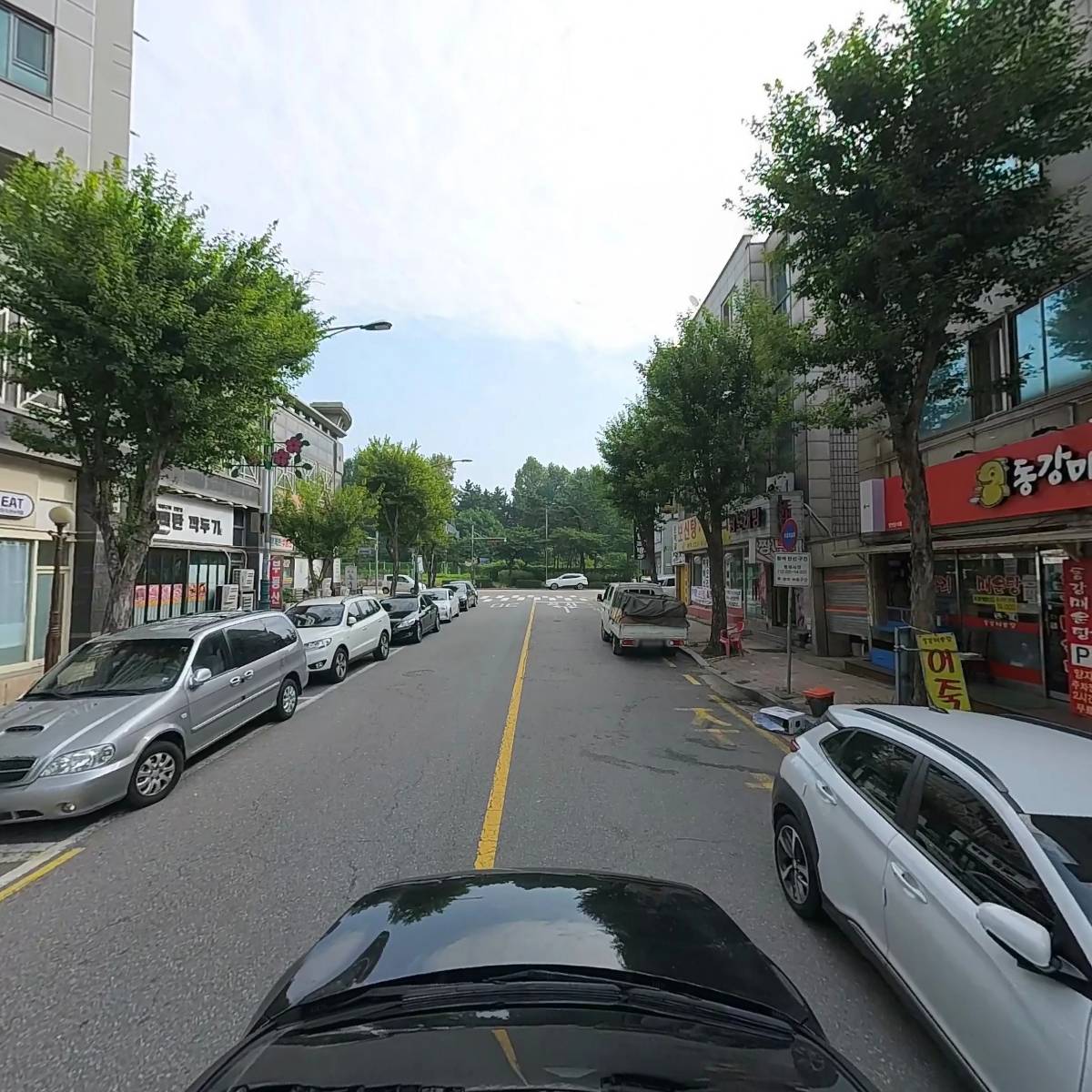 이소가이식역학요법_4