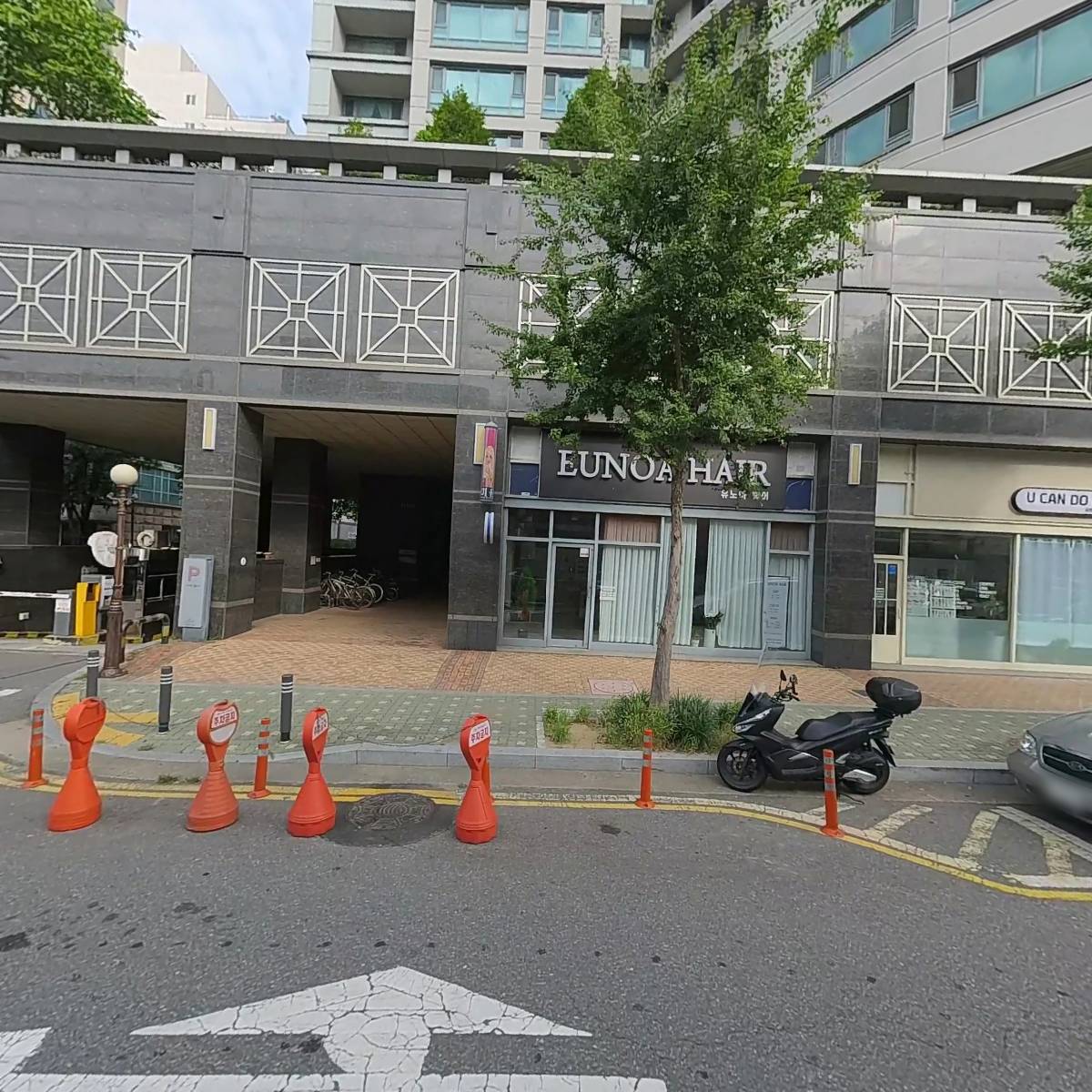 이소가이식역학요법_3