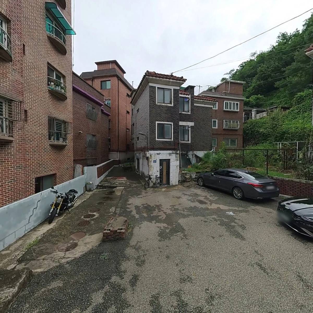 미니보더