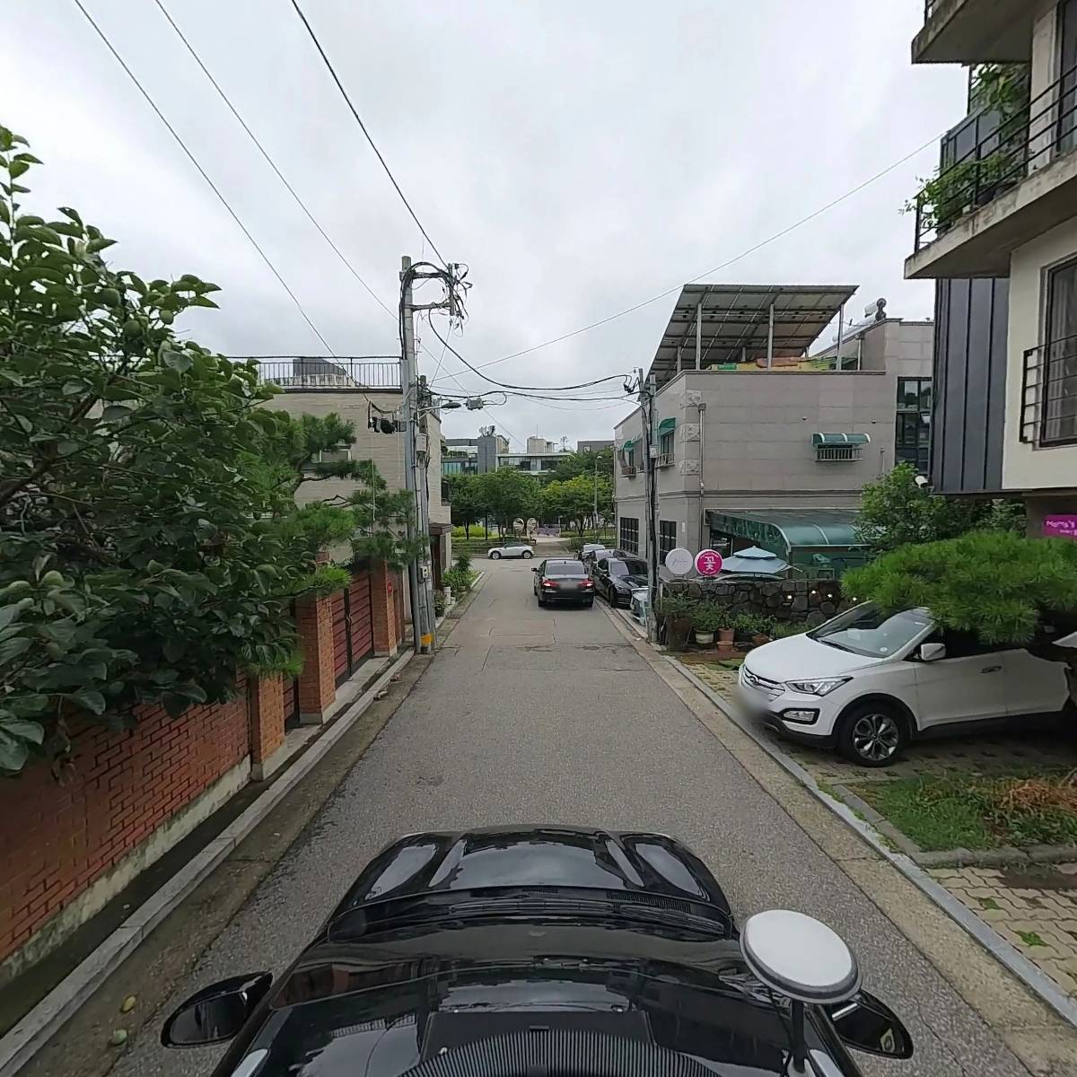 마마스플라워_4