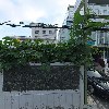 더블류피(W.P)