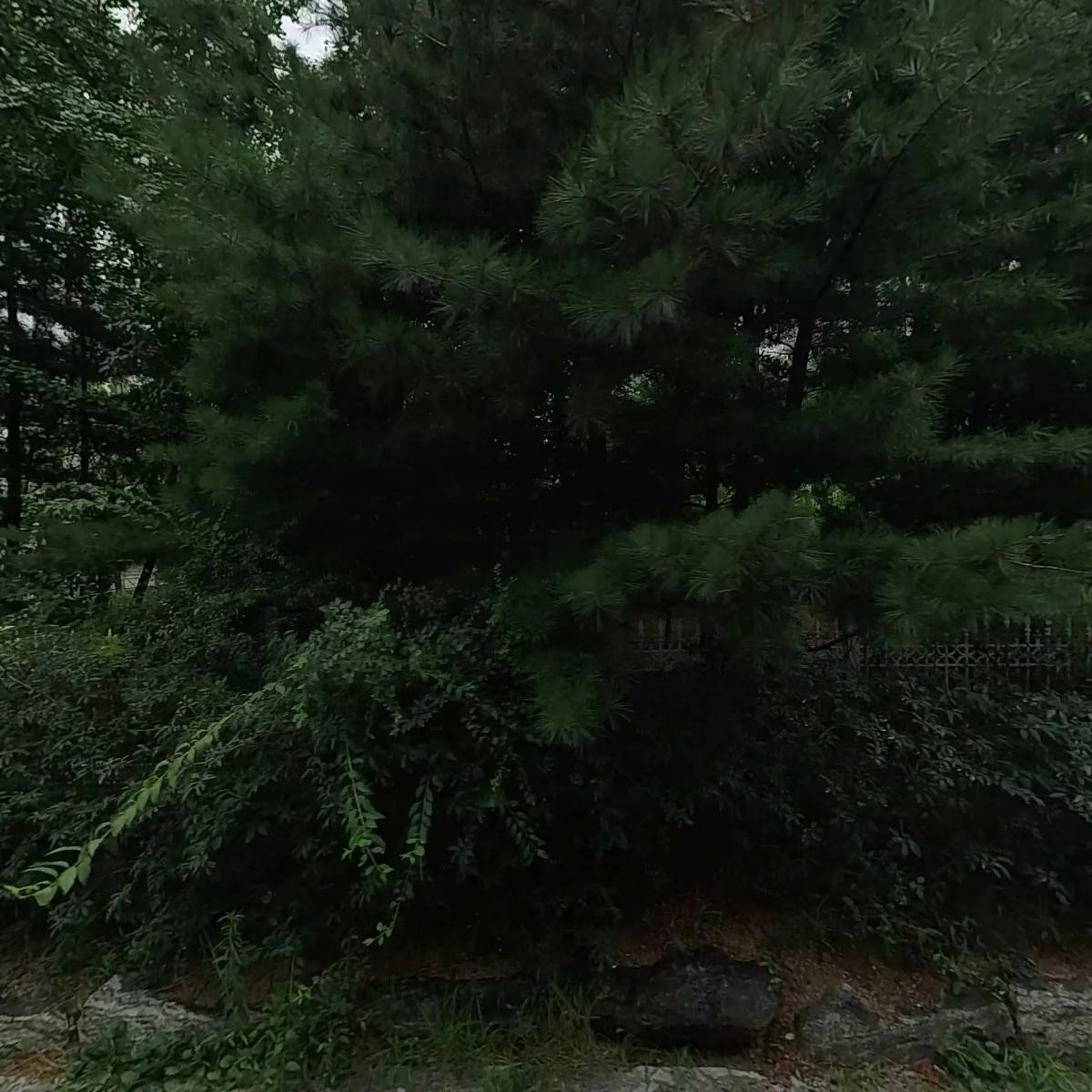 디저트39 인천신현점