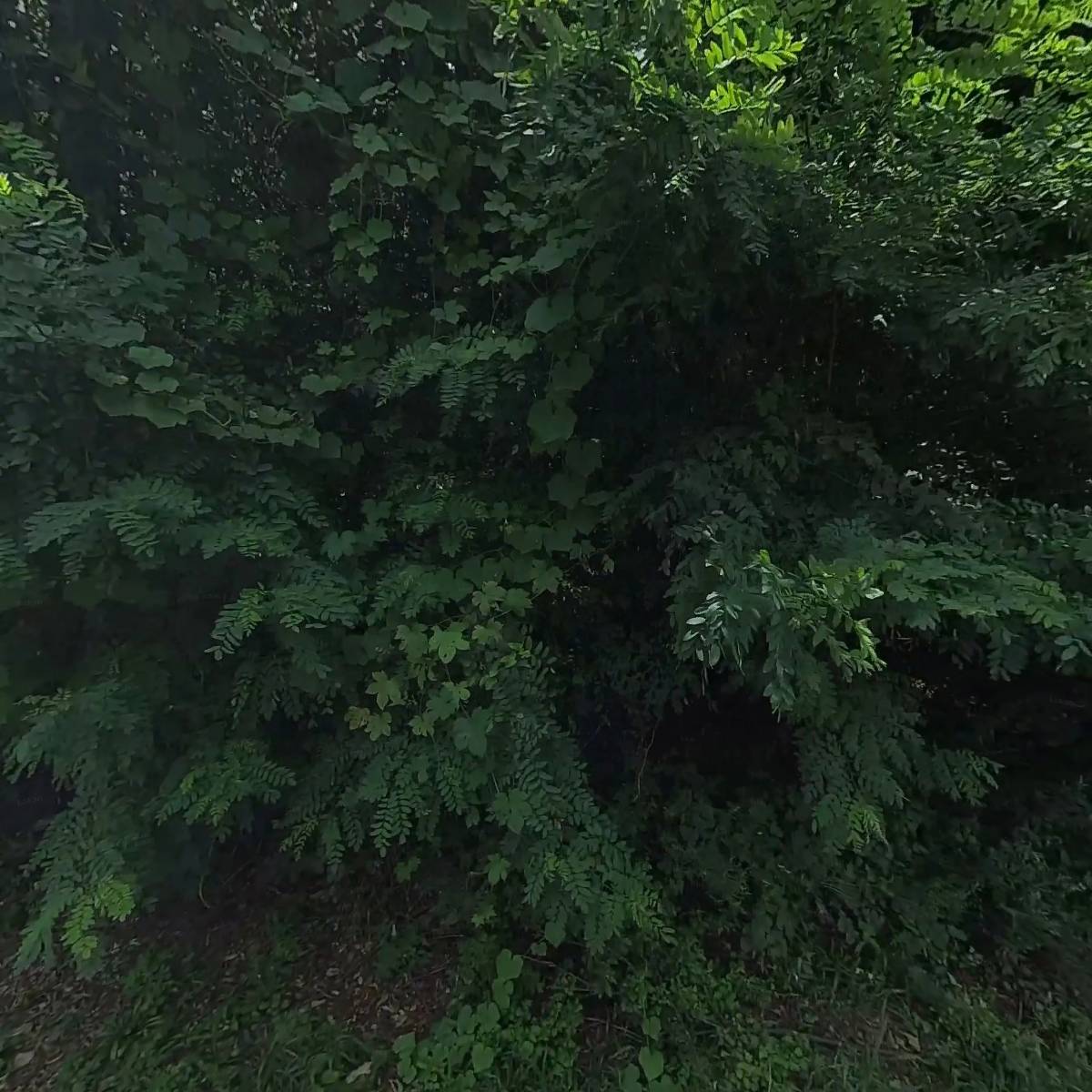 주식회사 대광산업_3