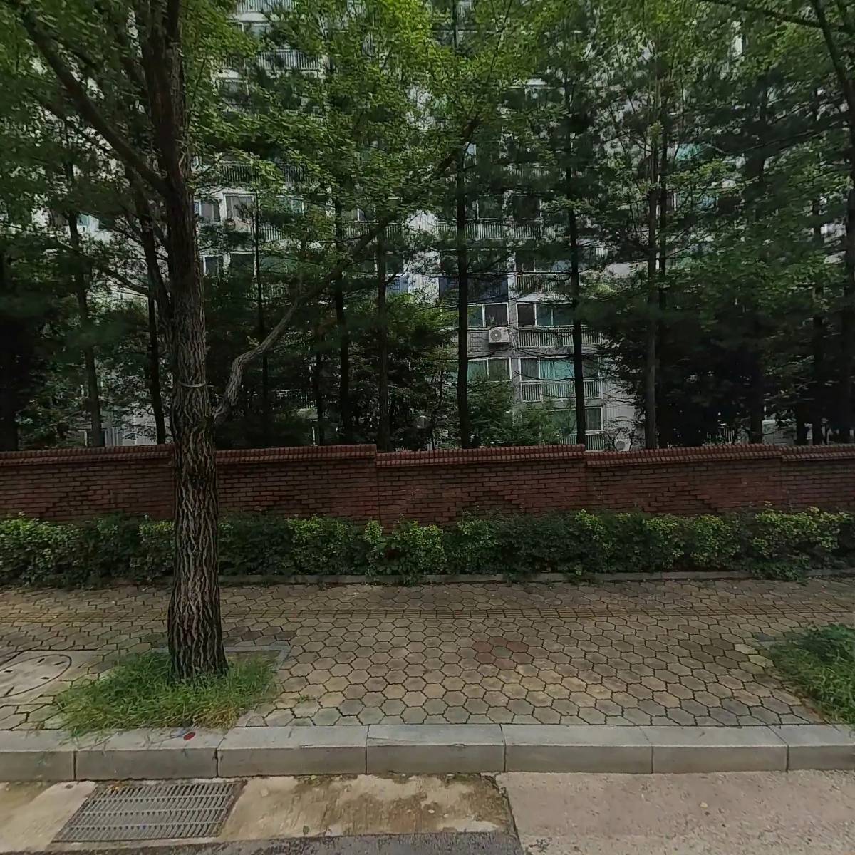 영미디어